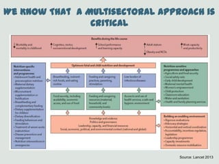 We Know That a Multisectoral Approach is
Critical
Source: Lancet 2013
 