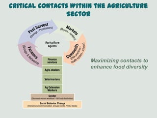 Maximizing contacts to
enhance food diversity
Critical Contacts Within the Agriculture
Sector
 