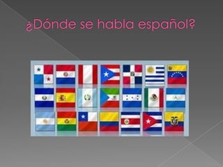 Preliminarmente, el castellano fue la lengua de Castilla, que es de donde proviene la palabra castellano, pero hoy día, se suele reemplazar el término español. Además del castellano o español, en España se hablan 3 idiomas más: el euskera en el País Vasco y Navarra; el gallego, en Galicia; el catalán, en Cataluña y en las Islas Baleares. Estas comunidades son bilingües, ya que desde la constitución de 1978, el español es la lengua oficial de España. ¿Dónde se habla español?