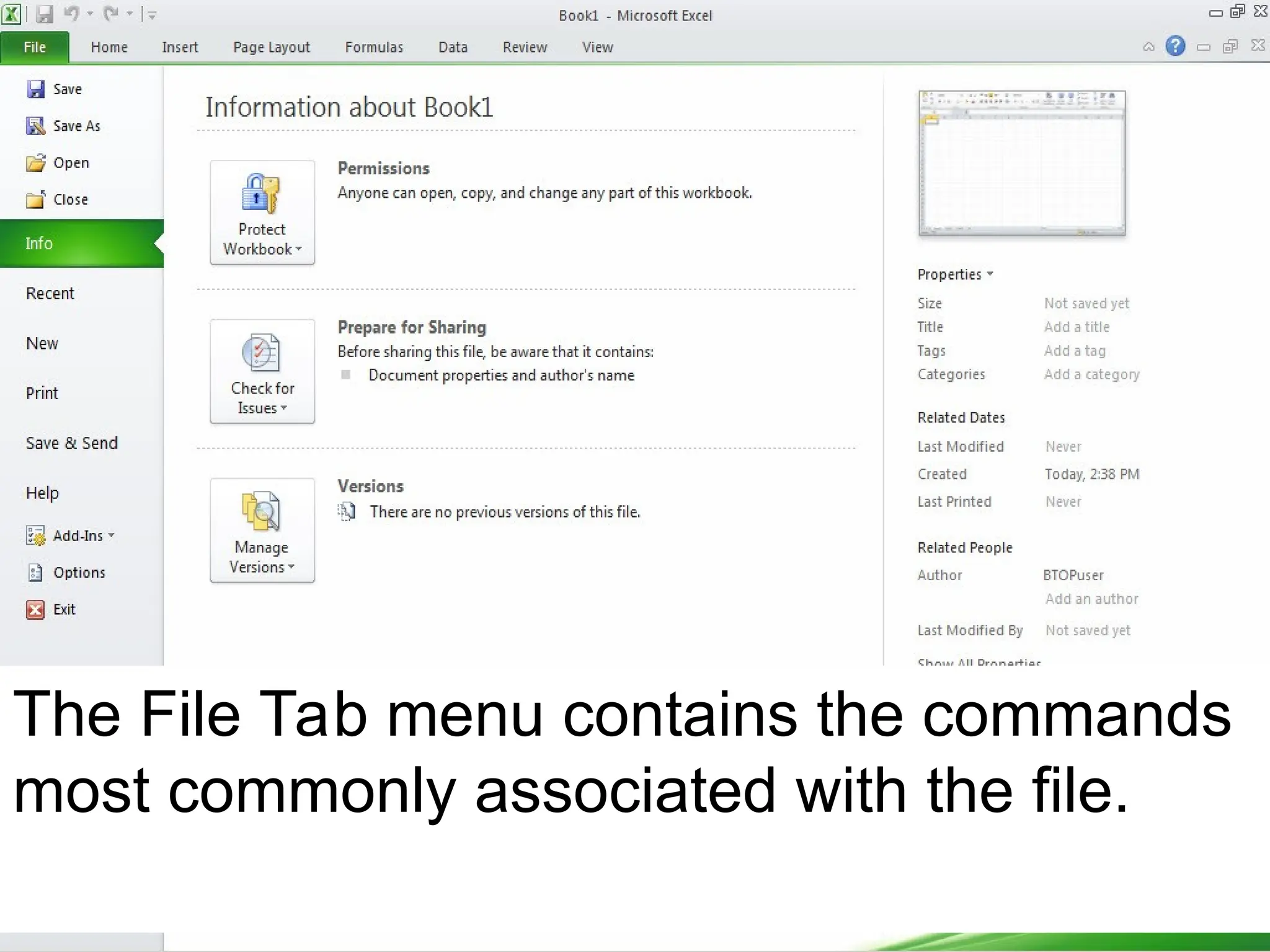 The File Tab menu contains the commands
most commonly associated with the file.
 