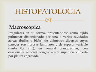 HISTOPATOLOGIA
           
Macroscópica
Irregulares en su forma, presentándose como tejido
pulmonar distorsionado por una o varias cavidades
aéreas (bullas o blebs) de diámetros diversos cuyas
paredes son fibrosas laminares y de espesor variable
(hasta 0,2 cm.), en general blanquecinas, con
ocasionales sectores congestivos y superficie cubierta
por pleura engrosada.
 