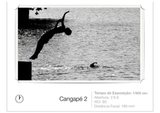 Tempo de Exposição: 1/800 sec
            Abertura: ƒ/5.6
Cangapé 2   ISO: 80
            Distância Focal: 180 mm
 