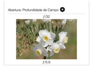 Abertura: Profundidade de Campo
                     ƒ/32




                     ƒ/5.6
 
