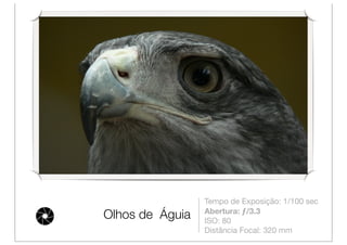 Tempo de Exposição: 1/100 sec
                 Abertura: ƒ/3.3
Olhos de Águia   ISO: 80
                 Distância Focal: 320 mm
 