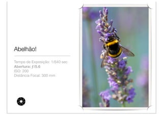 Abelhão!

Tempo de Exposição: 1/640 sec
Abertura: ƒ/5.6
ISO: 200
Distância Focal: 300 mm
 