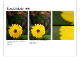 Sensibilidade




Tempo de Exposição: 1/350 sec   Tempo de Exposição: 1/4000 sec
Abertura: ƒ/5.6                 Abertura: ƒ/5.6
ISO: 100                        ISO: 1600
 