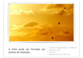 Tempo de Exposição: 1/1000 sec
A linha pode ser formada por   Abertura: ƒ/8
pontos de interesse...         ISO: 80
                               Distância Focal: 320 mm
 
