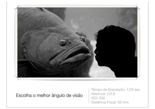 Tempo de Exposição: 1/25 sec
                                   Abertura: ƒ/2.8
Escolha o melhor ângulo de visão
                                   ISO: 200
                                   Distância Focal: 50 mm
 