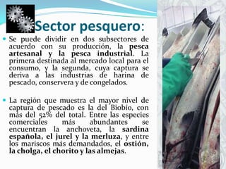 Sector pesquero:Se puede dividir en dos subsectores de acuerdo con su producción, la pesca artesanal y la pesca industrial. La primera destinada al mercado local para el consumo, y la segunda, cuya captura se deriva a las industrias de harina de pescado, conservera y de congelados. La región que muestra el mayor nivel de captura de pescado es la del Biobío, con más del 52% del total. Entre las especies comerciales más abundantes se encuentran la anchoveta, la sardina española, el jurel y la merluza, y entre los mariscos más demandados, el ostión, la cholga, el chorito y las almejas. 