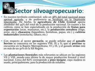 Sector silvoagropecuario:En nuestro territorio continental, solo un 38% del total nacional posee aptitud agrícola, y de preferencia se localizan en la Depresión Intermedia. De hecho, la agricultura de Chile Central aporta alrededor del 45% del total de la producción nacional. En cuanto a los cultivos, estos se han especializado en la producción de frutas para exportación (uvas, manzanas, etc.), la producción cerealera (trigo, arroz, etc.), chacarera (legumbres, hortalizas, papas, etc.) y cultivos industriales (remolacha, tabaco, etc.)Con respecto al sector pecuario, se puede señalar que el ganado bovino se concentra en las regiones VIII, IX y X; que el porcino se encuentra en la Región Metropolitana, VI y IX, y el ganado ovino está en más de un 50% en la XII Región.Las plantaciones forestales más relevantes se ubican en las regiones VII y VIII, siendo esta última la de mayor producción forestal a nivel nacional. Cerca del 80% corresponde a pino insigne, cuya madera es usada, principalmente, para la producción de celulosa. 