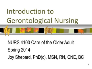 Introduction to
Gerontological Nursing
NURS 4100 Care of the Older Adult
Spring 2014
Joy Shepard, PhD(c), MSN, RN, CNE, BC
1

 