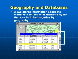 • A GIS stores information about the
world as a collection of thematic layers
that can be linked together by
geography
Polygon 3 Scrub 17 Very high Clay
Geography and Databases
 