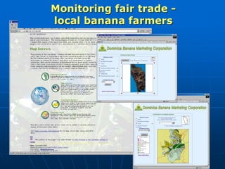 Monitoring fair trade -
local banana farmers
 
