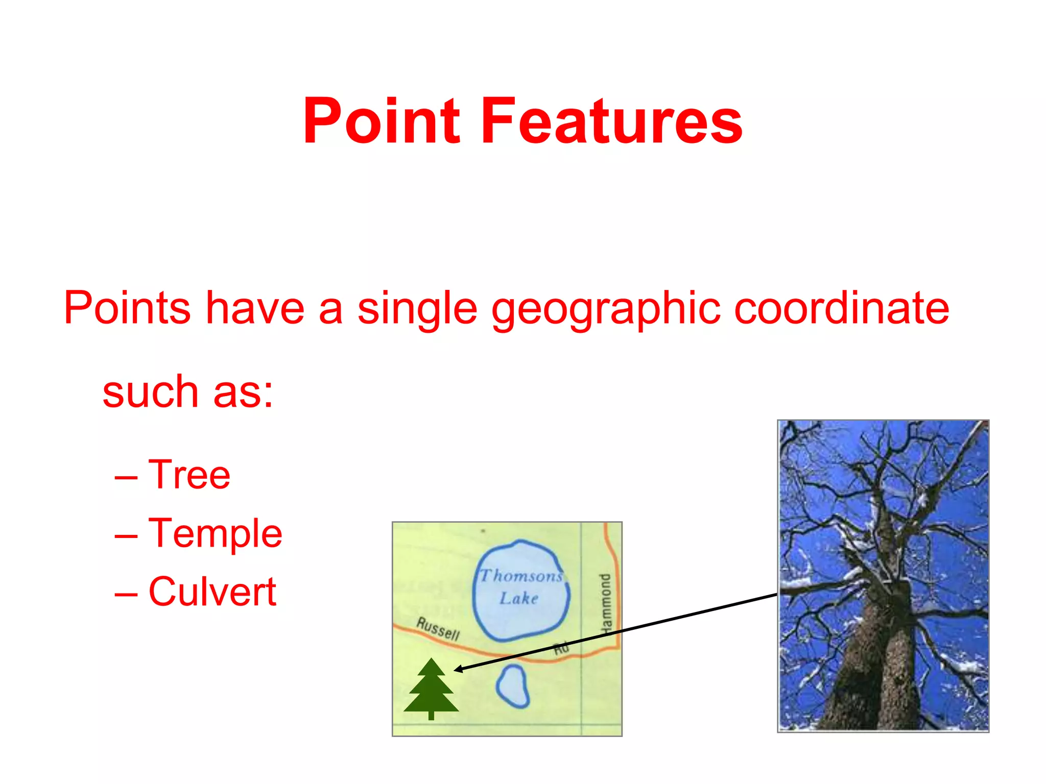 Point Features
Spatially distributed entities, activities or
Points have a single geographic coordinate
such as:
– Tree
– Temple
– Culvert
 
