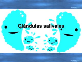 Glándulas salivales 