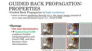 Introduction to Grad-CAM (complete version) | PPTX