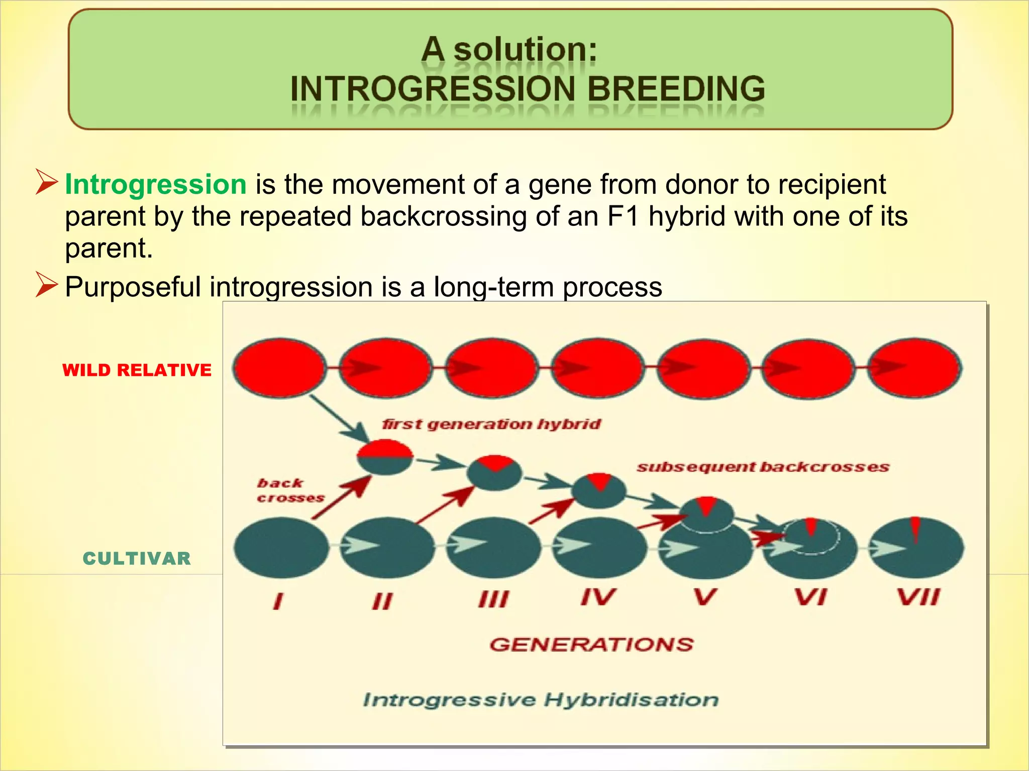 Introgression is the movement of a gene from donor to recipient
parent by the repeated backcrossing of an F1 hybrid with one of its
parent.
Purposeful introgression is a long-term process
WILD RELATIVE
CULTIVAR
 