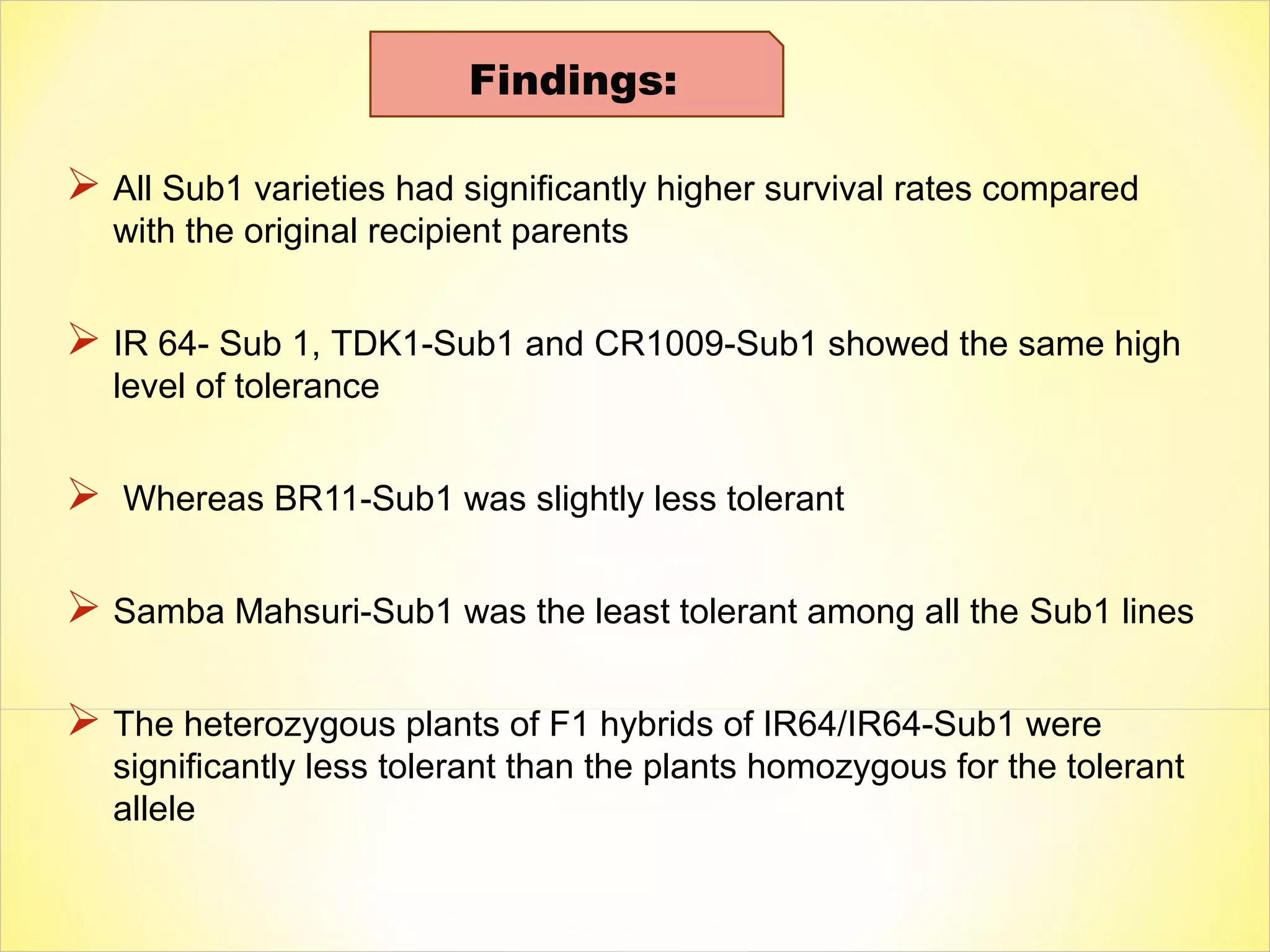  All Sub1 varieties had significantly higher survival rates compared
with the original recipient parents
 IR 64- Sub 1, TDK1-Sub1 and CR1009-Sub1 showed the same high
level of tolerance
 Whereas BR11-Sub1 was slightly less tolerant
 Samba Mahsuri-Sub1 was the least tolerant among all the Sub1 lines
 The heterozygous plants of F1 hybrids of IR64/IR64-Sub1 were
significantly less tolerant than the plants homozygous for the tolerant
allele
Findings:
 