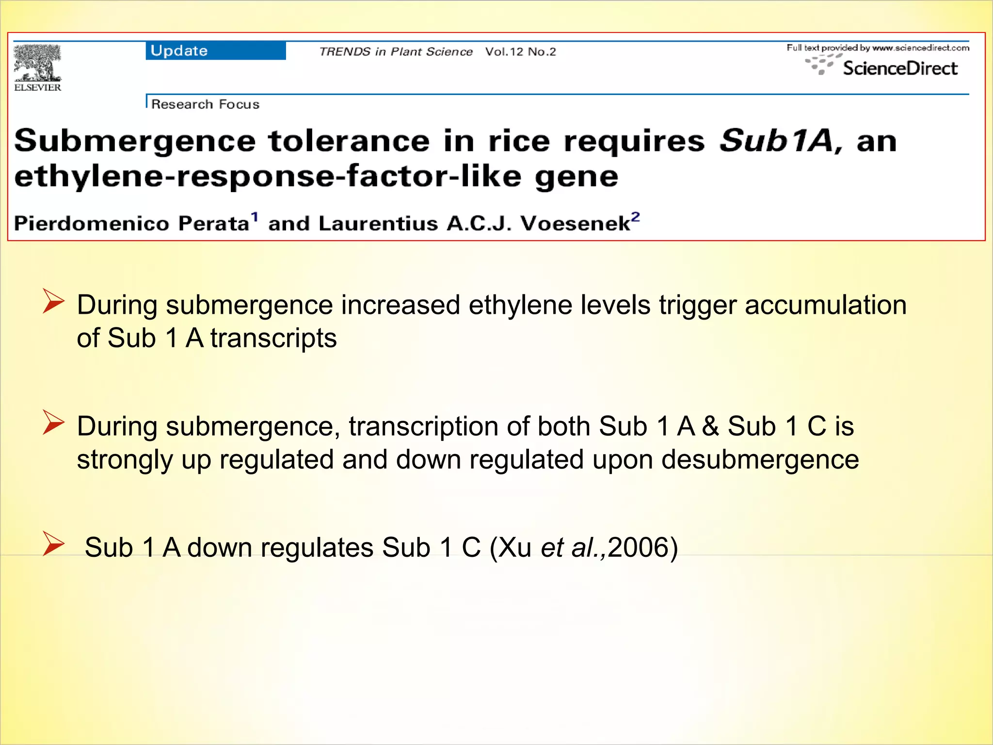  During submergence increased ethylene levels trigger accumulation
of Sub 1 A transcripts
 During submergence, transcription of both Sub 1 A & Sub 1 C is
strongly up regulated and down regulated upon desubmergence
 Sub 1 A down regulates Sub 1 C (Xu et al.,2006)
 
