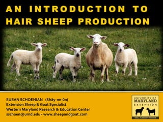 SUSAN SCHOENIAN (Shāy-ne-ŭn)
Extension Sheep & Goat Specialist
Western Maryland Research & Education Center
sschoen@umd.edu - www.sheepandgoat.com
 