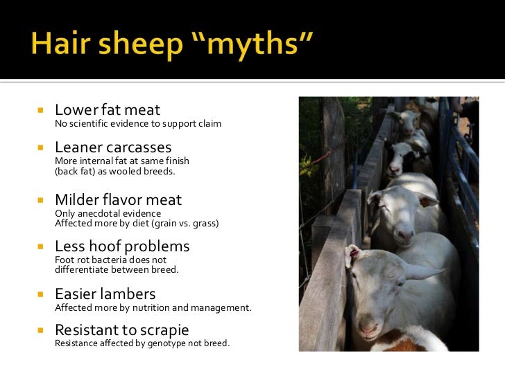 Introduction to Hair Sheep Production