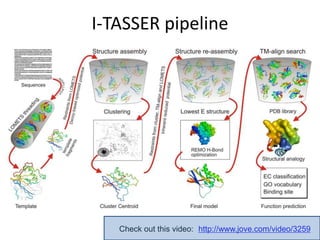 I-TASSER pipeline
http://www.jove.com/video/3259Check out this video:
 