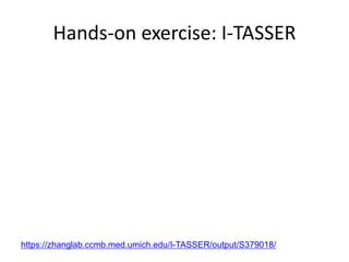 Hands-on exercise: I-TASSER
https://zhanglab.ccmb.med.umich.edu/I-TASSER/output/S379018/
 