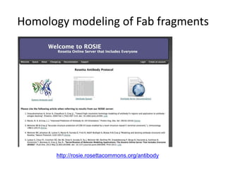 Homology modeling of Fab fragments
http://rosie.rosettacommons.org/antibody
 