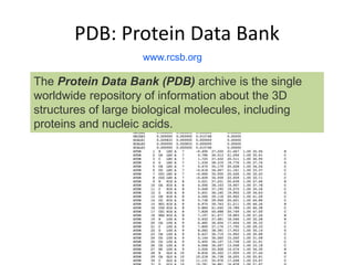 PDB: Protein Data Bank
The Protein Data Bank (PDB) archive is the single
worldwide repository of information about the 3D
structures of large biological molecules, including
proteins and nucleic acids.
www.rcsb.org
 