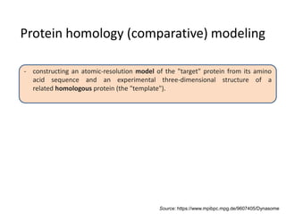 Intro to homology modeling | PPTX | Chemistry | Science