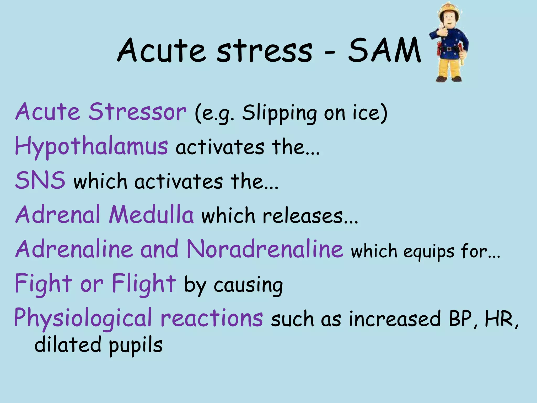 Acute stress - SAM
Acute Stressor (e.g. Slipping on ice)
Hypothalamus activates the...
SNS which activates the...
Adrenal Medulla which releases...
Adrenaline and Noradrenaline which equips for...
Fight or Flight by causing
Physiological reactions such as increased BP, HR,
 dilated pupils
 