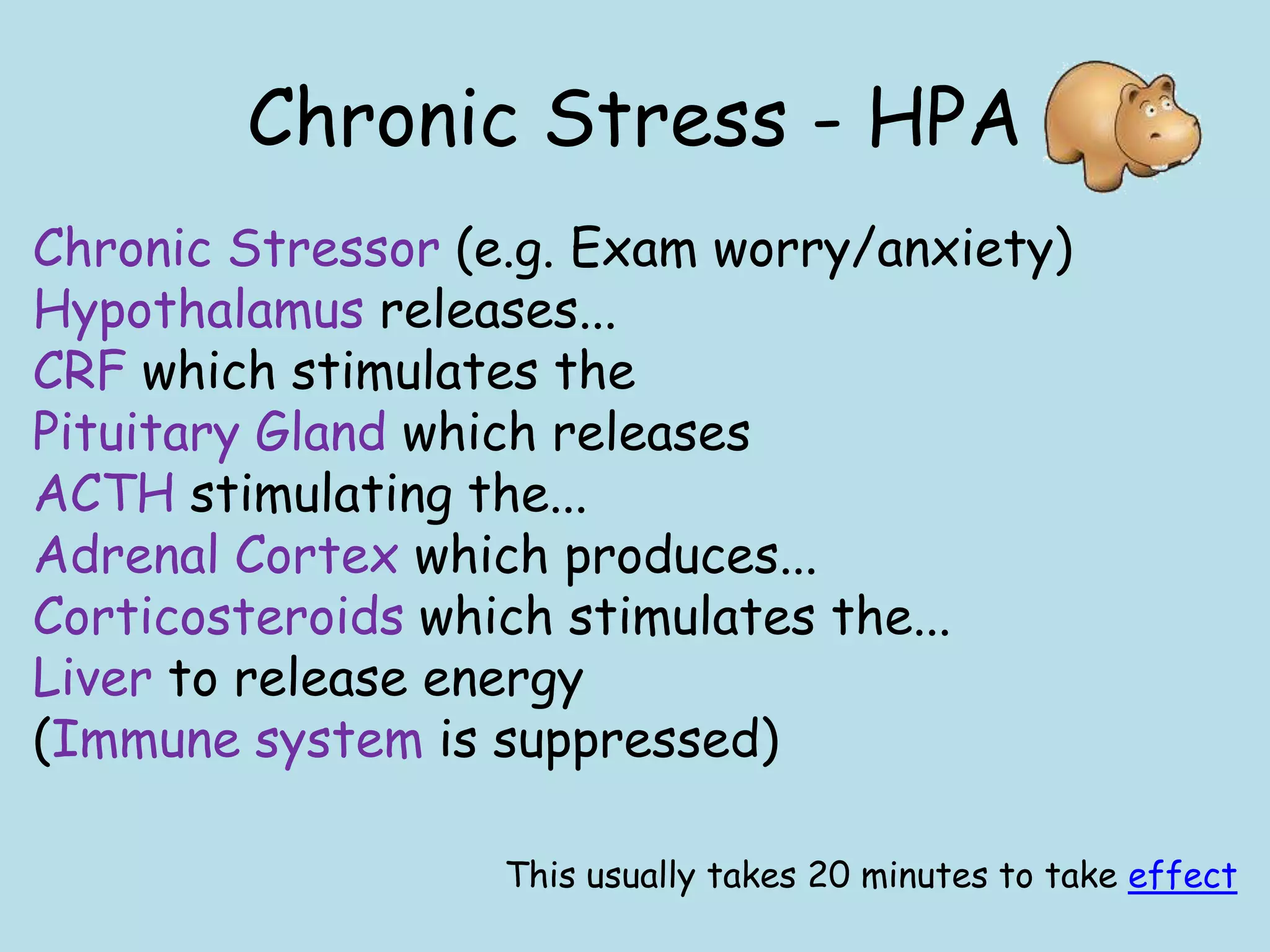 Chronic Stress - HPA
Chronic Stressor (e.g. Exam worry/anxiety)
Hypothalamus releases...
CRF which stimulates the
Pituitary Gland which releases
ACTH stimulating the...
Adrenal Cortex which produces...
Corticosteroids which stimulates the...
Liver to release energy
(Immune system is suppressed)

                   This usually takes 20 minutes to take effect
 