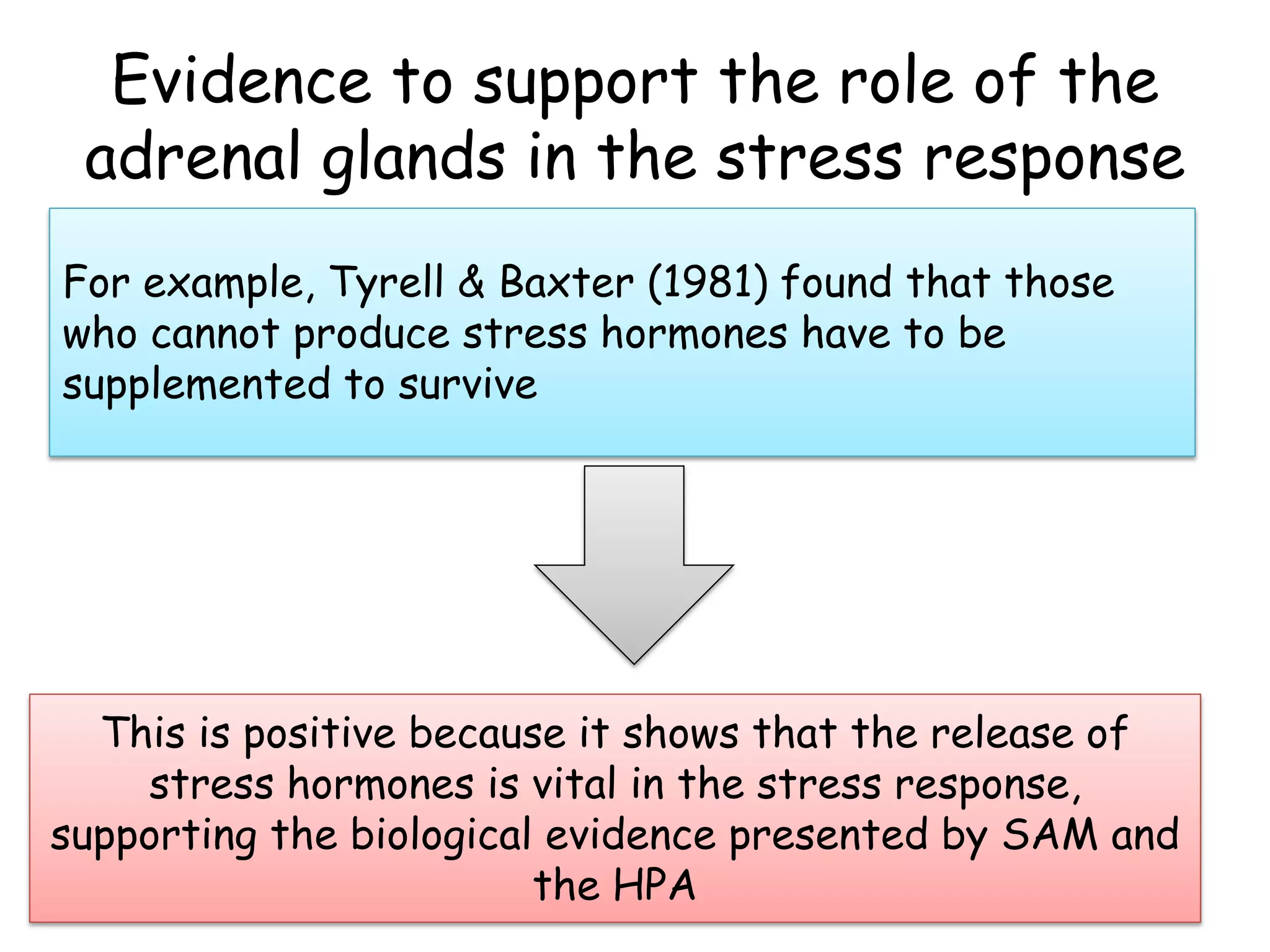 Evidence to support the role of the
 adrenal glands in the stress response
For example, Tyrell & Baxter (1981) found that those
who cannot produce stress hormones have to be
supplemented to survive




  This is positive because it shows that the release of
    stress hormones is vital in the stress response,
supporting the biological evidence presented by SAM and
                         the HPA
 