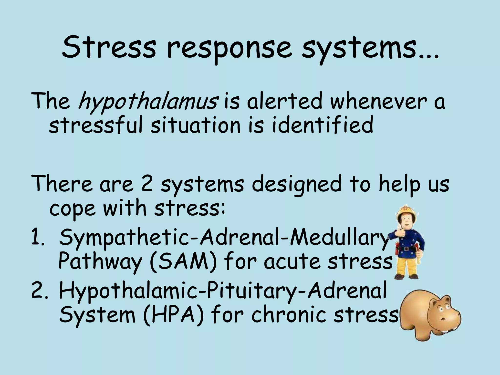 Stress response systems...
The hypothalamus is alerted whenever a
 stressful situation is identified

There are 2 systems designed to help us
  cope with stress:
1. Sympathetic-Adrenal-Medullary
   Pathway (SAM) for acute stress
2. Hypothalamic-Pituitary-Adrenal
   System (HPA) for chronic stress
 