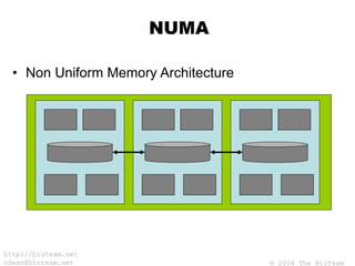 © 2004 The BioTeam
http://bioteam.net
cdwan@bioteam.net
NUMA
• Non Uniform Memory Architecture
 