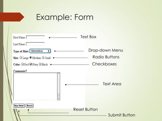 Example: Form
Text Box
Drop-down Menu
Radio Buttons
Checkboxes
Text Area
Submit Button
Reset Button
 