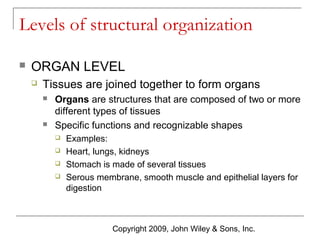 Levels of structural organization


ORGAN LEVEL


Tissues are joined together to form organs




Organs are structures that are composed of two or more
different types of tissues
Specific functions and recognizable shapes





Examples:
Heart, lungs, kidneys
Stomach is made of several tissues
Serous membrane, smooth muscle and epithelial layers for
digestion

Copyright 2009, John Wiley & Sons, Inc.

 