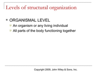 Levels of structural organization


ORGANISMAL LEVEL



An organism or any living individual
All parts of the body functioning together

Copyright 2009, John Wiley & Sons, Inc.

 