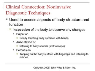 Clinical Connection: Noninvasive
Diagnostic Techniques


Used to assess aspects of body structure and
function


Inspection of the body to observe any changes


Palpation




Auscultation or




Gently touching body surfaces with hands
listening to body sounds (stethoscope)

Percussion


Tapping on the body surface with fingertips and listening to
echoes

Copyright 2009, John Wiley & Sons, Inc.

 