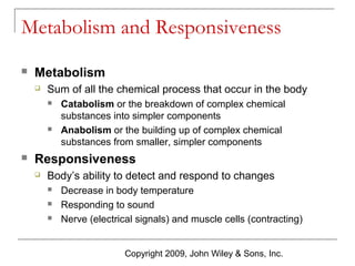 Metabolism and Responsiveness


Metabolism


Sum of all the chemical process that occur in the body






Catabolism or the breakdown of complex chemical
substances into simpler components
Anabolism or the building up of complex chemical
substances from smaller, simpler components

Responsiveness


Body’s ability to detect and respond to changes




Decrease in body temperature
Responding to sound
Nerve (electrical signals) and muscle cells (contracting)
Copyright 2009, John Wiley & Sons, Inc.

 