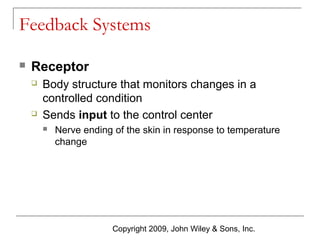 Feedback Systems


Receptor




Body structure that monitors changes in a
controlled condition
Sends input to the control center


Nerve ending of the skin in response to temperature
change

Copyright 2009, John Wiley & Sons, Inc.

 