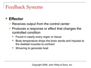 Feedback Systems


Effector



Receives output from the control center
Produces a response or effect that changes the
controlled condition





Found in nearly every organ or tissue
Body temperature drops the brain sends and impulse to
the skeletal muscles to contract
Shivering to generate heat

Copyright 2009, John Wiley & Sons, Inc.

 