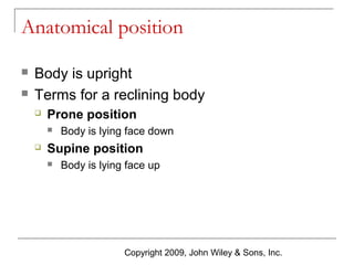 Anatomical position



Body is upright
Terms for a reclining body


Prone position




Body is lying face down

Supine position


Body is lying face up

Copyright 2009, John Wiley & Sons, Inc.

 