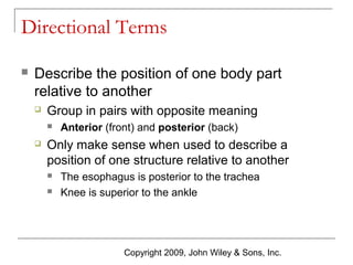 Directional Terms


Describe the position of one body part
relative to another


Group in pairs with opposite meaning




Anterior (front) and posterior (back)

Only make sense when used to describe a
position of one structure relative to another



The esophagus is posterior to the trachea
Knee is superior to the ankle

Copyright 2009, John Wiley & Sons, Inc.

 