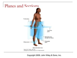 Planes and Sections

Copyright 2009, John Wiley & Sons, Inc.

 