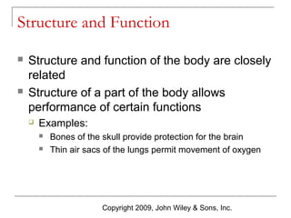 Structure and Function




Structure and function of the body are closely
related
Structure of a part of the body allows
performance of certain functions


Examples:



Bones of the skull provide protection for the brain
Thin air sacs of the lungs permit movement of oxygen

Copyright 2009, John Wiley & Sons, Inc.

 