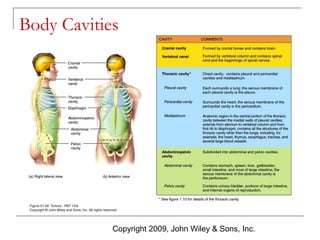 Body Cavities

Copyright 2009, John Wiley & Sons, Inc.

 