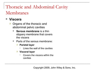 Thoracic and Abdominal Cavity
Membranes


Viscera


Organs of the thoracic and
abdominal pelvic cavities




Serous membrane is a thin
slippery membrane that covers
the viscera
Parts of the serous membrane:




Parietal layer

Lines the wall of the cavities
Visceral layer

Covers the viscera within the
cavities

Copyright 2009, John Wiley & Sons, Inc.

 