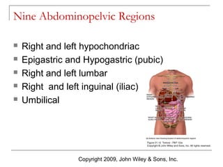Nine Abdominopelvic Regions






Right and left hypochondriac
Epigastric and Hypogastric (pubic)
Right and left lumbar
Right and left inguinal (iliac)
Umbilical

Copyright 2009, John Wiley & Sons, Inc.

 