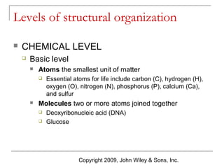 Levels of structural organization


CHEMICAL LEVEL


Basic level


Atoms the smallest unit of matter




Essential atoms for life include carbon (C), hydrogen (H),
oxygen (O), nitrogen (N), phosphorus (P), calcium (Ca),
and sulfur

Molecules two or more atoms joined together



Deoxyribonucleic acid (DNA)
Glucose

Copyright 2009, John Wiley & Sons, Inc.

 
